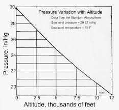 what is the difference between absolute and relative