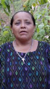 💬 ‘The climate is getting hotter every day. It’s killing our plants and  it’s killing us too.'