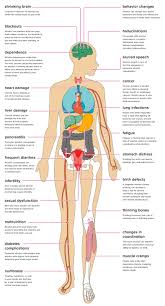 23 Effects Of Alcohol On Your Body Effects Of Sleep Apnea Sleep Apnea Effects Of Stress