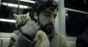 Nombres De Gatos De Peliculas 20 Ideas Con Explicacion Vida Con Mascotas