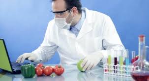 Berikut informasi sepenuhnya tentang contoh metode ilmiah biologi tentang hewan. Contoh Karya Ilmiah Biologi Singkat Dan Benar Untuk Tugas Sekolah