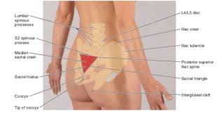 By the way, have you heard about the myth of. Lower Back Pain Treatment Mississauga Chronic Low Back Pain