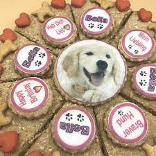 Backofen auf 200 °c vorheizen. Kuchen Lolli Mit Eigenem Foto Ofenfrische Hundekuchen