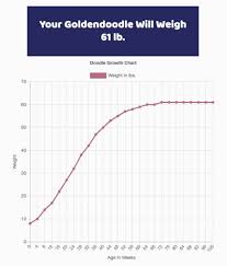 Use the dog size guide to measure the neck, back length, and chest. Puppy Growth Chart For Doodles And Interactive Calculator