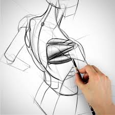 Useful drawing references and sketches for beginner artists. 1 259 Me Gusta 12 Comentarios Stan Prokopenko Stanprokopenko En Instagram Quot I 39 Shoulder Muscles Shoulder Muscle Anatomy Female Anatomy Reference