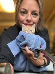 New cat finds a home