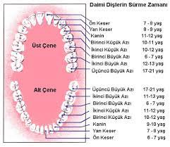 bebeklerde dis cikarma cocuklu dunya