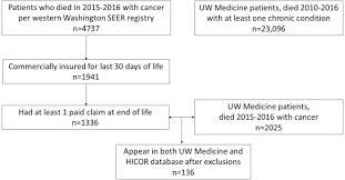 For example, my digital camera is damaged and i was going to be at my daughter's. Novel Data Linkages To Characterize Palliative And End Of Life Care Challenges And Considerations Sciencedirect