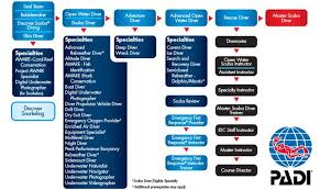What S The Difference Between Padi Master Scuba Diver And Divemaster Scuba Diving Certification Scuba Diver Scuba Certification