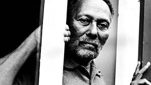 Interview of Stuart Hall