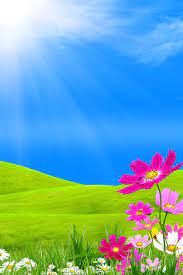 Spring View Landscape Wallpaper Spring Wallpaper Beautiful Landscape Wallpaper
