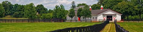 Get personalized insurance quotes online. Farm And Agribusiness Insurance Ocala