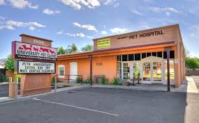 Hours may change under current circumstances Veterinary Tucson University Pet Clinic 520 795 7016
