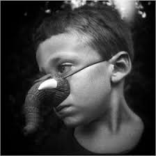 The Holga Darkroom: Weekends, Dreams and other Plastic Memories