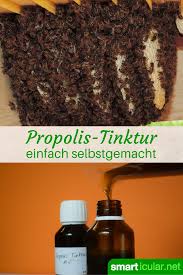 8 Propolis Ideen Salben Selber Machen Propolis Salbe Propolis
