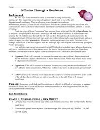 Check spelling or type a new query. Red Onion Osmosis 15