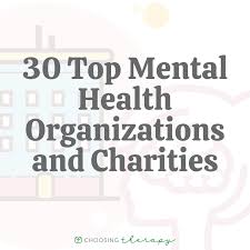 In reality, getting your first health insurance plan does not have to be daunting. 30 Top Mental Health Organizations