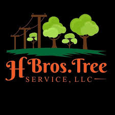 Maybe you would like to learn more about one of these? H Bros Tree Service Llc Home Facebook