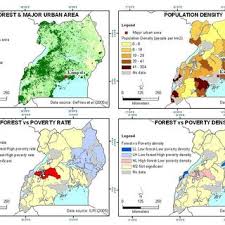 Image result for Phyllanthus pseudocarunculatus