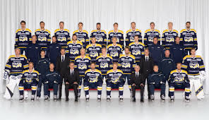 Formerly elitserien), the top tier of swedish ice hockey. Kontrakt 2020 21 Hv Spelarna Som Kan Lamna Klubben