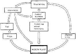 Biogas Plants In Animal Husbandry Gtz 1989 153 P 3