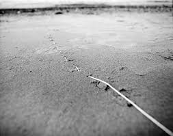 Bildergebnis für Maria Laet