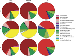 Bacterial Community Recovered In The V8 Library From