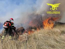 Jul 18, 2021 · trentotto incendi oggi 18 luglio in sardegna, per 11 è stato necessario far intervenire i mezzi aerei. Giornata Di Fuoco In Sardegna Scoppiati Oggi 23 Incendi Casteddu On Line