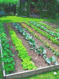 Food Garden Ideas Small Spaces Fresh Food Garden Ideas Small Spaces Home Ve Able G Vegetable Garden Planner Vegetable Garden Planning Fall Garden Vegetables