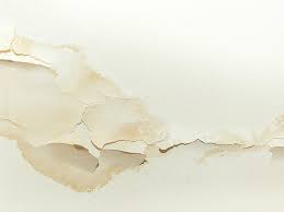 In addition, exterior mold can easily work its way into the house if left unchecked. Signs There S Mold In Your House
