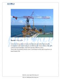 Mail crane — an upright post planted close to a railroad track with an arm which, when not in use, hangs by the side of the post, but when in use is extended horizontally toward the track. Crane Operator Training Rigworld Training Center