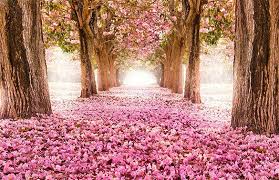 Maybe you would like to learn more about one of these? 26 Spring Backgrounds Psd Jpeg Png Free Premium Templates