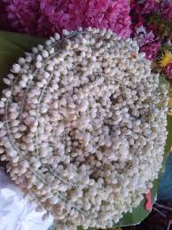The marigold is also called the herb of the sun, representing passion and even creativity. Jasmine Flowers Strings And Loose Marigold Carnation Pooja Garlands Temple Garlands And All Sbabu Imports Exports Company All Biz