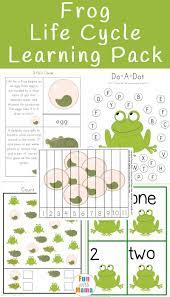 Life Cycle Of A Frog For Kids Life Cycles Preschool Frog Life Frog Life Cycle Activities