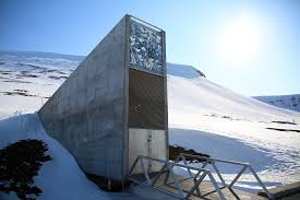 Welcome to your cannabis seed connection in norway's seed vault. Norway S Global Seed Vault Reopens For First Deposit Of 2021