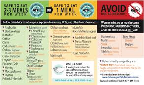 14 Unbiased Safe Fish To Eat Chart