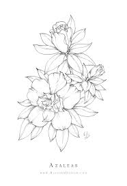 Easy techniques for drawing people, animals, flowers and nature parks, carrie stuart, parks, rick on amazon.com. Flower Drawings The Atelier Blog Blushed Design