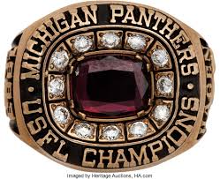 Image result for michigan panthers