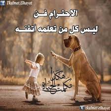 صور عن الاحترام والتقدير عبارات عن الاحترام مكتوبة علي صور صور عالية الجودة movie posters poster movies