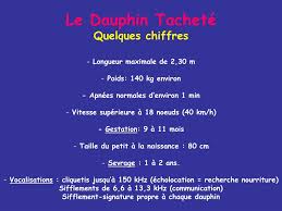 Para determinar cuánto tarda un determinado coche que tiene una velocidad constante en recorrer una cierta distancia vamos a hacer uso de las ecuaciones que describen el movimiento rectilíneo uniforme en el cual no existe una. Ppt Classe Des Mammiferes Marins Ordre Des Sireniens Lamantins Dugongs Powerpoint Presentation Id 6848647