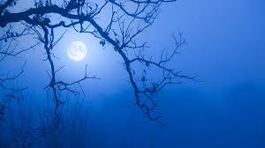 Moon, earth's sole natural satellite and nearest celestial body. What Is A Blue Moon