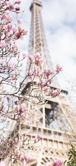 Now thanks to our cherry blossom live wallpaper you also have opportunity to enjoy sakura in the mystic oriental garden at night. Lockscreens Cherry Blossom Lock Screens Backgrounds