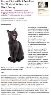 Stomatitis In Cats Cat Care Cats Feline