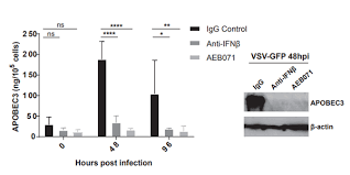 Prevents the production of various cytokines by activated t cells, macrophages, and keratinocytes in vitro and has been shown to inhibit an acute allergic. Sotrastaurin Aeb071 Pkc Inhibitor Medchemexpress