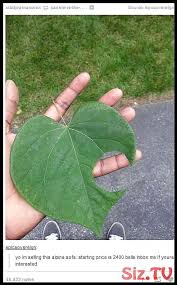 Ooooh I Animal Crossing Furniture I Wonder What It Is Couch Fridge Kitchen Acnlfu Animal Crossing Funny Animal Crossing Animal Crossing Memes