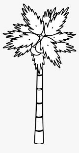 Find high quality palm tree clip art, all png clipart images with transparent backgroud can be download for free! Palm Tree Clipart Black And White Free Clipart Black White Tree Hd Png Download Transparent Png Image Pngitem