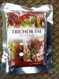 Sumber daya alam hayati dimanfaatkan oleh manusia utamanya sebagai sumber pangan. Jual Agen Hayati Trichor Tm Trichoderma 100gr Jakarta Selatan Aprilia Garden Tokopedia