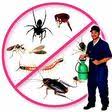 Find contact details and reviews of stockton pest control services and add your own review. The 3 Best Rated Pest Control Exterminators In Stockton Ca 2020 Porch