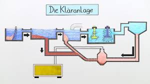 Wohin Geht Das Wasser Aus Der Toilette Inkl Ubungen