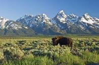 Image result for jackson wyoming